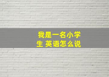 我是一名小学生 英语怎么说